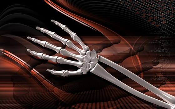 Digital illustration of hand bone in colour background