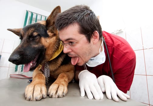 Funny vet imitating his german shepherd patient