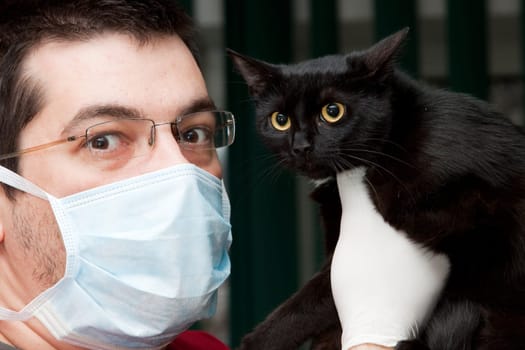 Vet caressing cute black cat