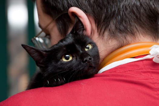 Vet caressing cute black cat