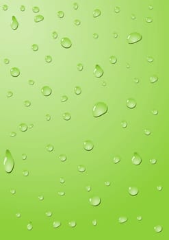 Drops of water on a green background