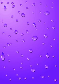 Water drops in purple
