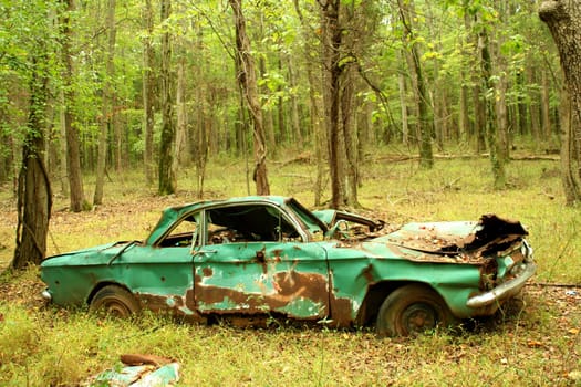 A Abandoned car in the woods
