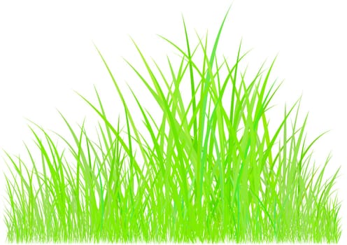 Blades of grass illustration