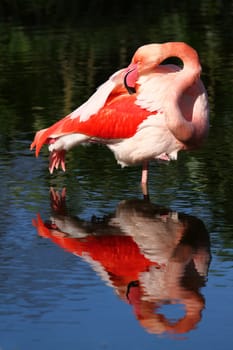 Colours of nature