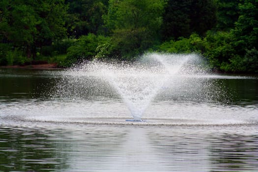 an image of Two pond water fountains