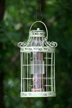 an image of a Bird Feeder