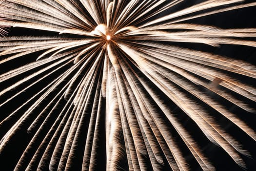 an image of exploding fireworks