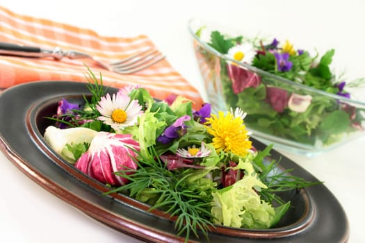 Wild herb salad with dandelion,wild garlic and daisies