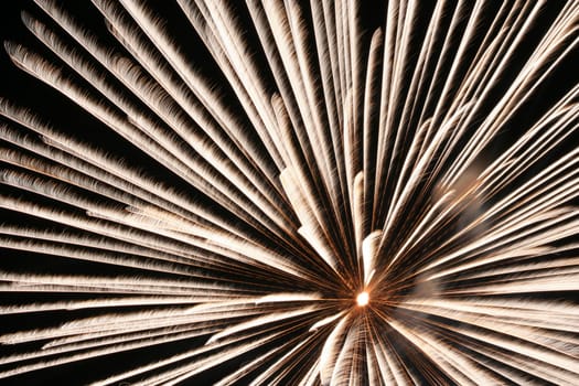 an image of exploding fireworks at night.