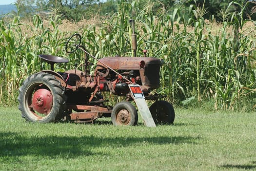 Old Tractor on the edge of a corn field