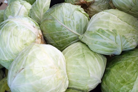 Heads of Cabbage at the market for sale
