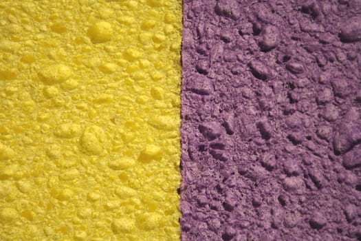 close up of Yellow and purple sponges