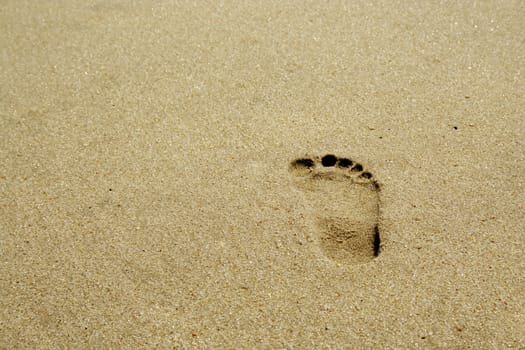 a isolated Footprint on the beach