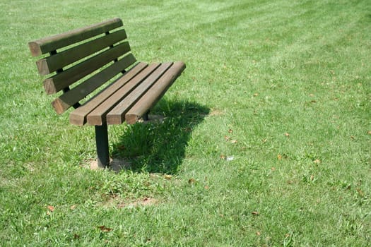Wooden Park Bench in a field of grass