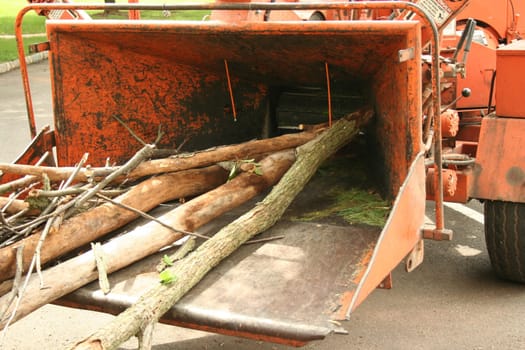 tree branches in a Wood chipper