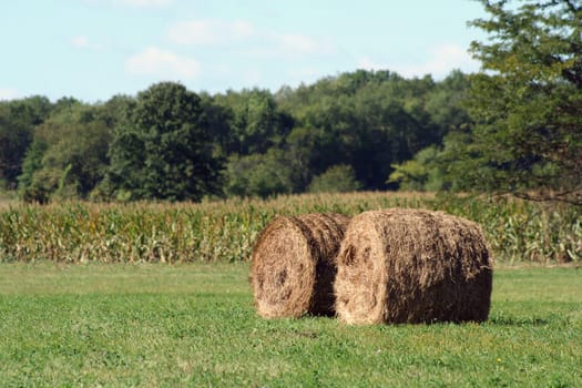 Two Hay rolls near a corn field
