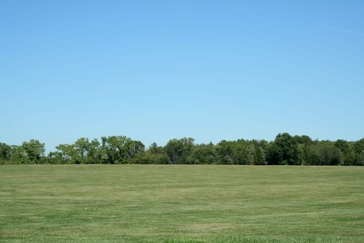 A Field with blue sky and trees