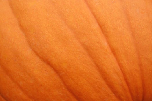 A close uo image of a Pumpkin for a Background