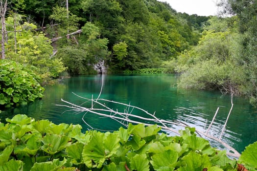a beautiful wild lake with turquoise water
