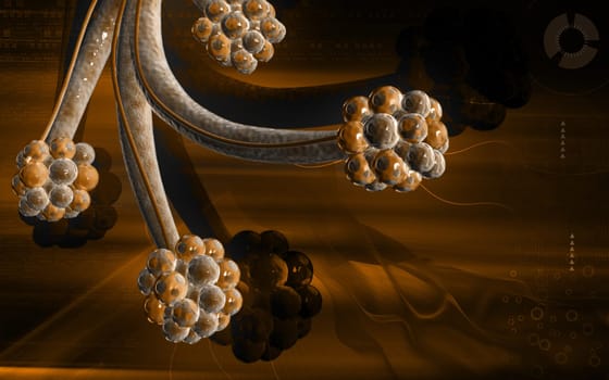 Digital illustration of alveoli in colour background