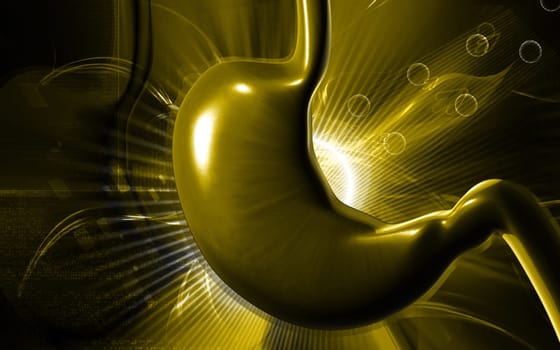 Digital illustration of stomach in colour background