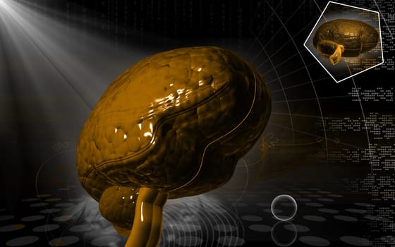 Digital illustration of brain in colour background