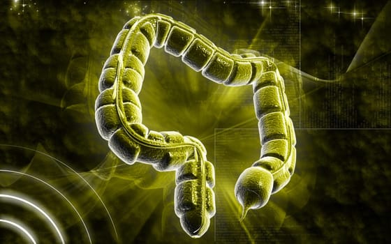 Digital illustration of large intestine in colour background