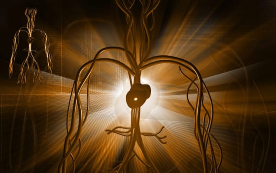 Digital illustration of vascular system in colour background