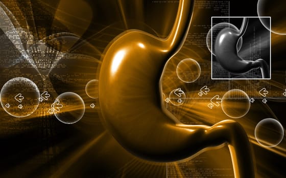 Digital illustration of stomach in colour background