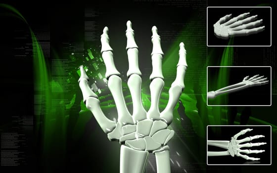 Digital illustration of hand bone in colour background