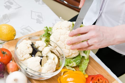 Preparation of vegetarian salad from fresh vegetables