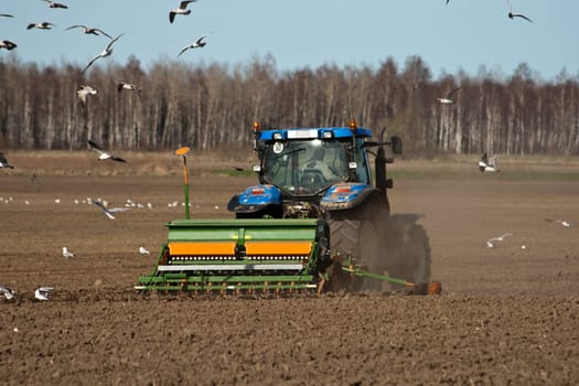tractor at work on a field and wild birds flying around