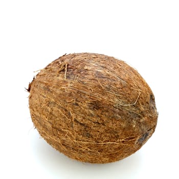 One exotic, raw, whole, husked tropical nut on white.