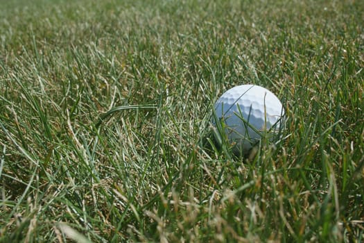 A white Golf ball in the rough