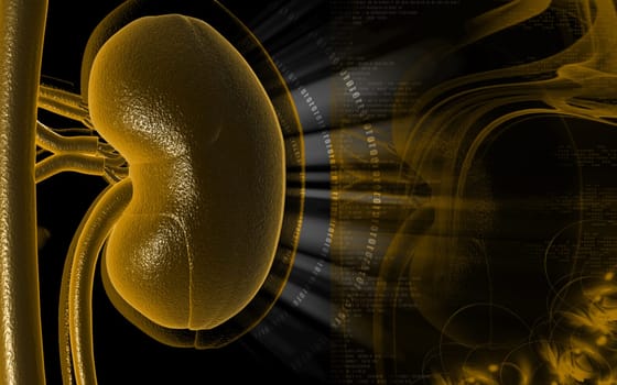 Digital illustration of kidney in colour background