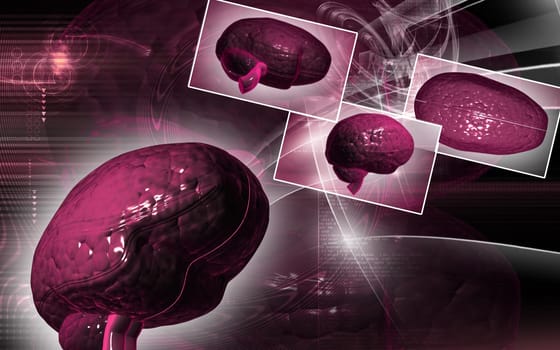 Digital illustration of brain in colour background
