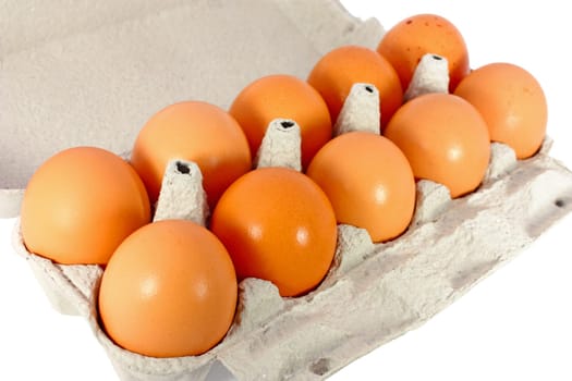 Chicken eggs in a cardboard container isolated
