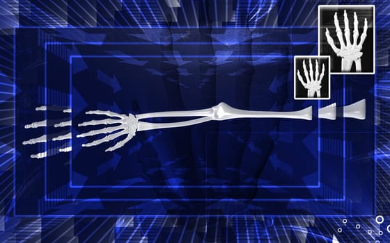 Digital illustration of hand bone in colour background