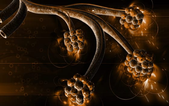 Digital illustration of alveoli in colour background