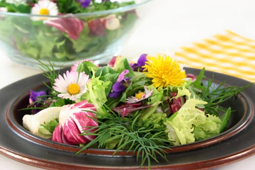 Wild herb salad with dandelion,wild garlic and daisies