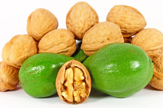 Bunch of walnuts ripe and unripe on white