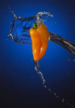 Water Splashing on Mini Bell Pepper