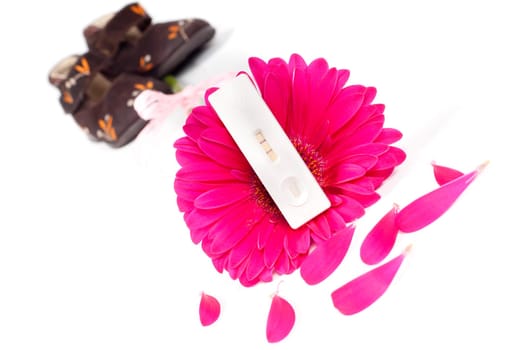 Shot of ositive pregnancy test and gerbera