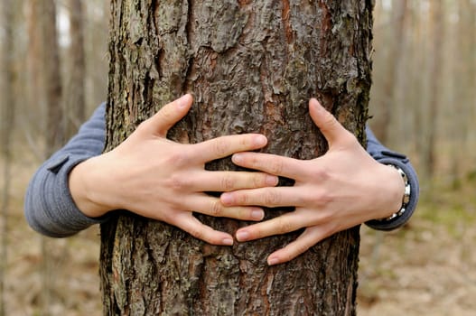 Hands hugging a tree