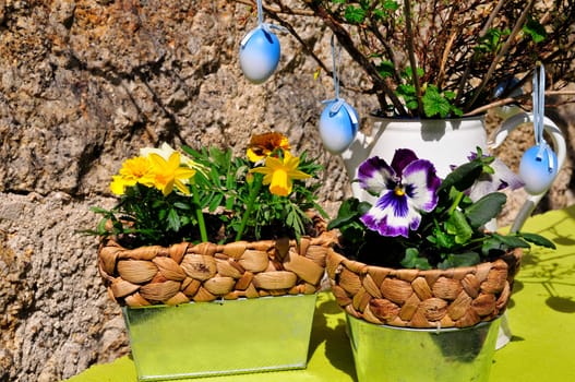 Garden Decoration Easter Spring Plants