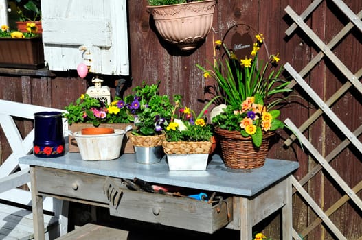 Garden Decoration Easter Spring Plants