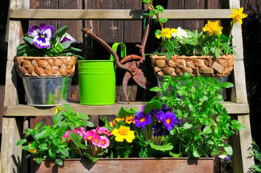 Garden Decoration Easter Spring Plants