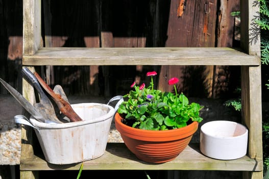 Garden Decoration Easter Spring Plants