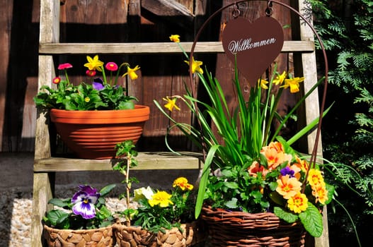 Garden Decoration Flowers Hut Spring Plants Stairs